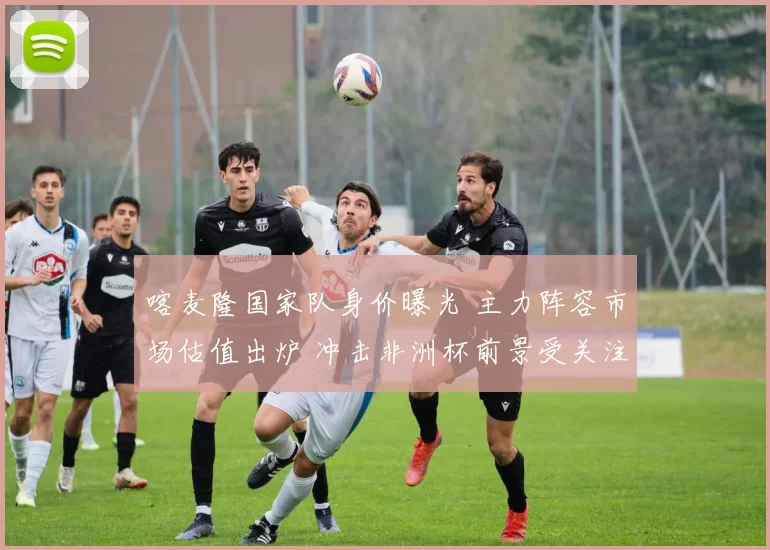 喀麦隆国家队身价曝光 主力阵容市场估值出炉 冲击非洲杯前景受关注