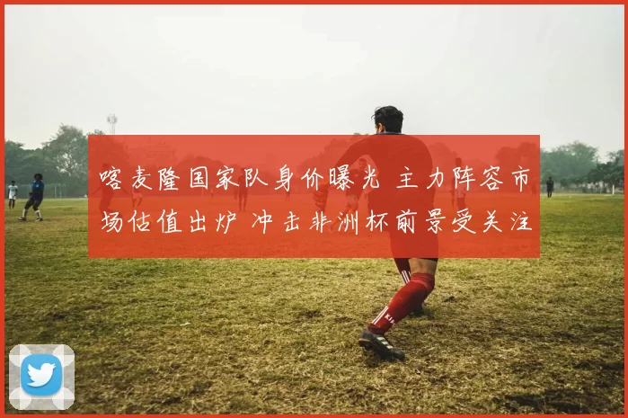 喀麦隆国家队身价曝光 主力阵容市场估值出炉 冲击非洲杯前景受关注