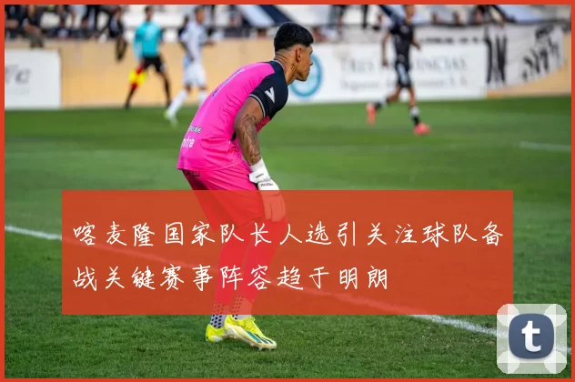 喀麦隆国家队长人选引关注球队备战关键赛事阵容趋于明朗